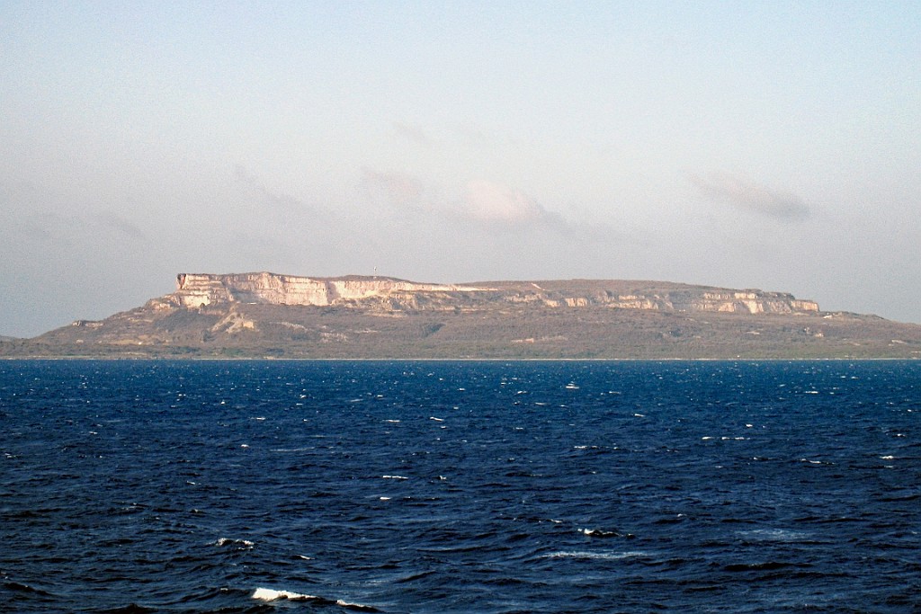 cruise14 (377).jpg